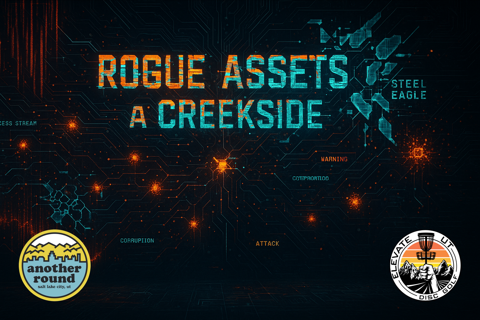 Rogue Assets